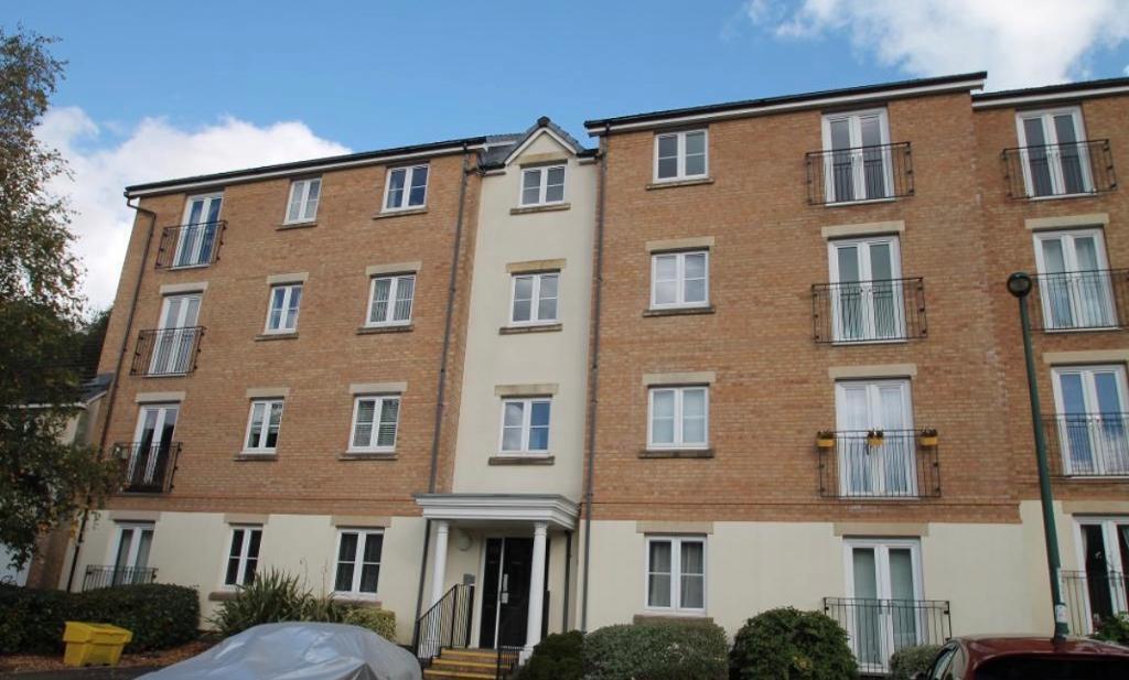 Clos Gwaith Dur, Ebbw Vale, Blaenau Gwent, NP23 6EP